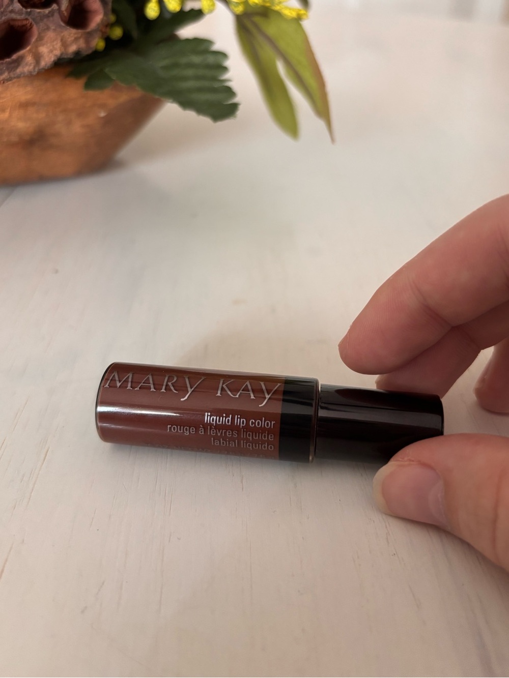 Mary Kay Liquid Lip Color — Chocoholic shade